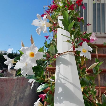 Casa Vacanza Anacapri Sunrise Zewnętrze zdjęcie