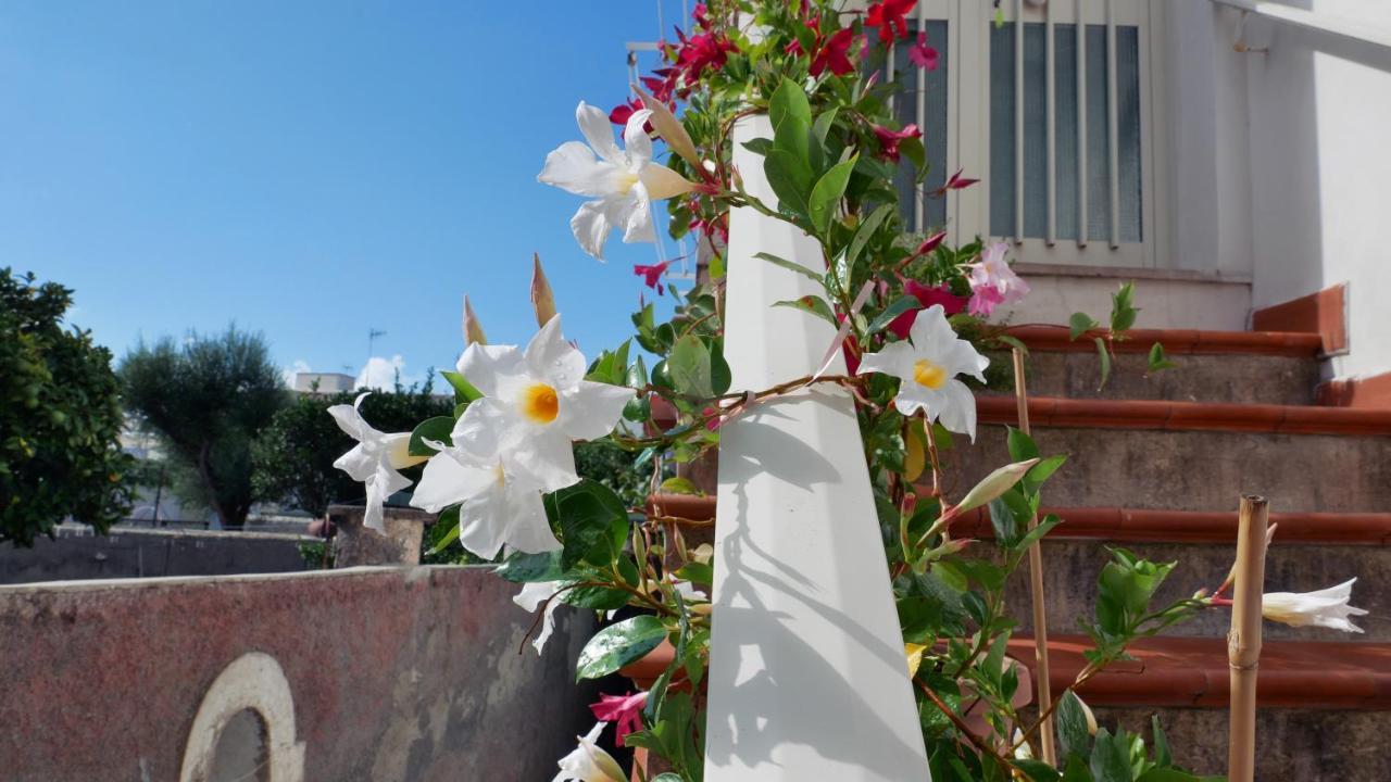 Casa Vacanza Anacapri Sunrise Zewnętrze zdjęcie